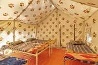 Rebirth Adventure Camp, Sasan Gir Rebirth Adventure Camp, Sasan Gir
