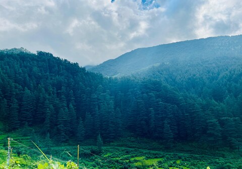 Anandam wood home stay