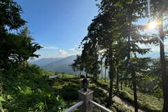 The Tea Tribe Stay, Kurseong The Tea Tribe Stay, Kurseong