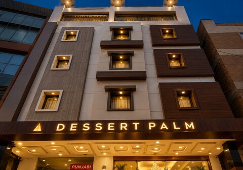 Dessert Palm
