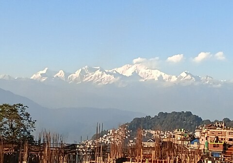 Darjeeling's Haven