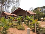 Jungle Nest - Dandeli, Dandeli Jungle Nest - Dandeli, Dandeli