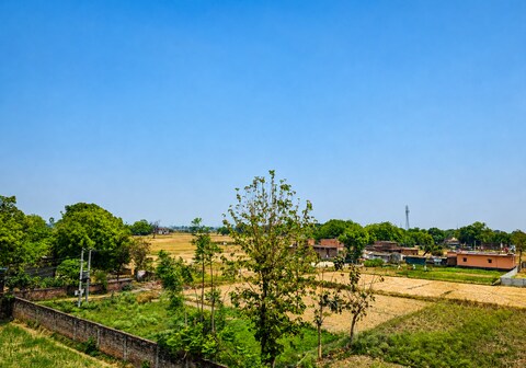 Orya Aarchi | Orya Homestay