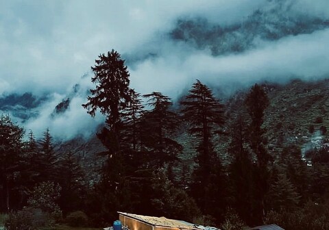 Traveler-Ella | Tents & Shared Kitchen