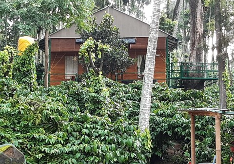 The Old Peredian | Home Away from Home