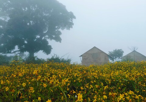 LAMBASINGI RAVI RESORT