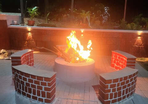 Discover The Magic Of The Forest