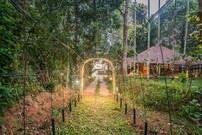 Raindrops Resorts - A luxury boutique resort, Wayanad Raindrops Resorts - A luxury boutique resort, Wayanad