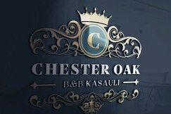 Chester Oak, Kasauli Chester Oak, Kasauli