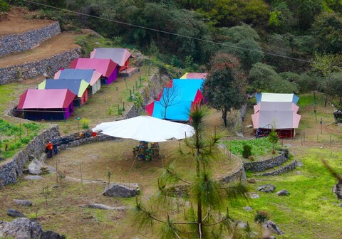 Camp Twilight