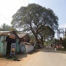 River Valley Farmstay, Dandeli River Valley Farmstay, Dandeli