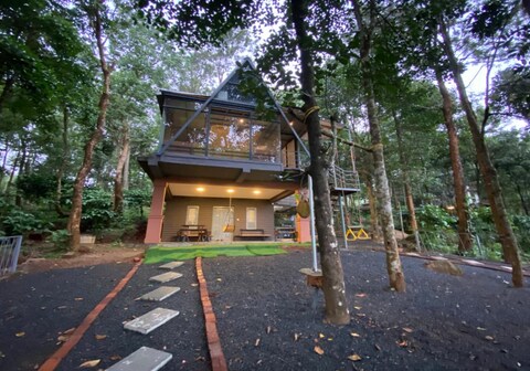 Wildroot Stay Aster Chalet