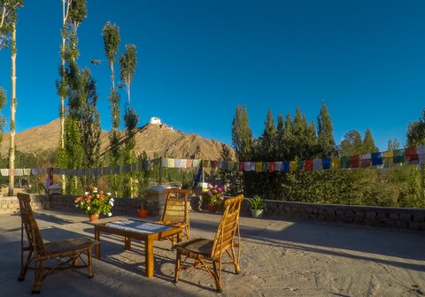 Eco Homestay | A Traditional Ladakh Ghar offers Taste of Ladakh