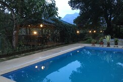 Turmerica Wayanad, Wayanad Turmerica Wayanad, Wayanad