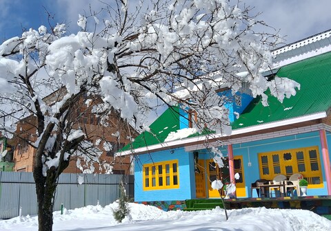 Conifer view guest house