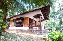 Misty Woods Resorts, Coorg Misty Woods Resorts, Coorg