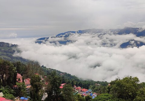 Knchenjunga Homestay