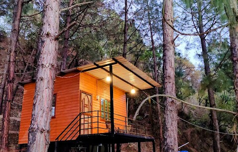 Bugyal Stays | Jungle Huts