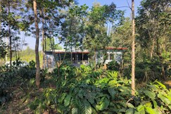 Moogli Homestay, Sakleshpur Moogli Homestay, Sakleshpur