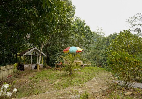 Dreamcatcher forest lodge