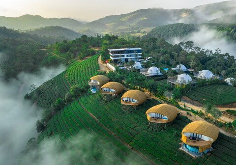 Monticle Glamps | Best Luxury Glamps in Vagamon
