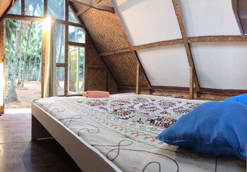 Jungle Hut Trikon, Yogdan