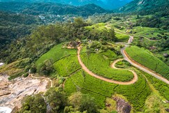 Viriparai British Tea Bungalow Munnar by VOYE HOMES, Munnar Viriparai British Tea Bungalow Munnar by VOYE HOMES, Munnar