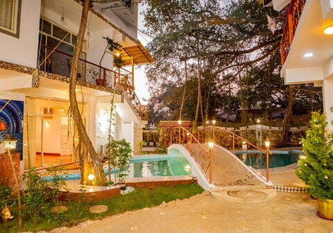 Vibes Inn Singing Tree