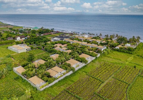 The Royal Purnama Adults Only