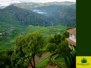 Blackberry Hills Retreat and Spa, Munnar Blackberry Hills Retreat and Spa, Munnar