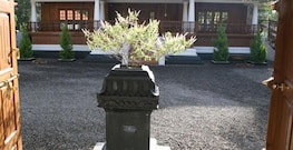 Winterfield Homestay and Resorts, Thekkady Winterfield Homestay and Resorts, Thekkady