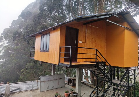 Kelvin Eva wood house