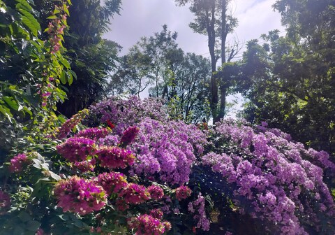 Birdsong Estate Stay