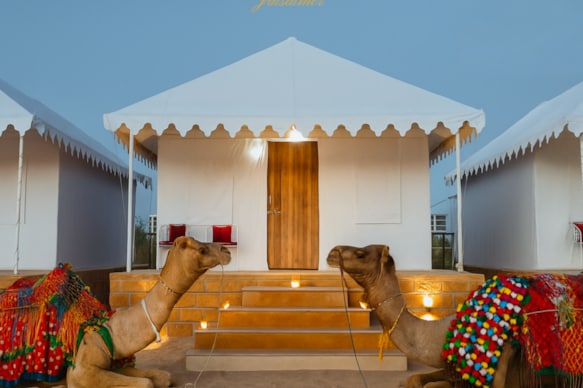 Emirates Luxury Desert Camp