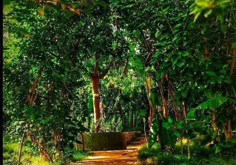 Adventures Unlimited - Nature Adventure Camp