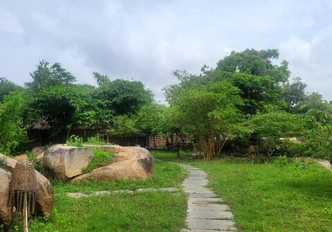 Monkey Paradise cafe