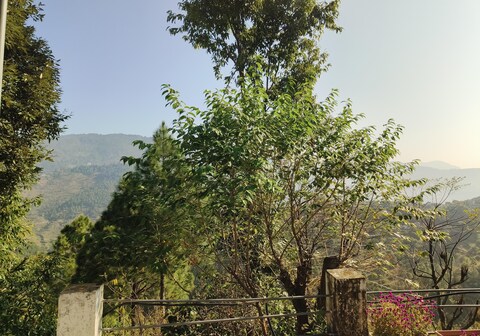 Anand Van Homestay