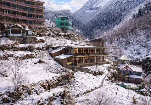 Yellowjackets Hostel Tosh