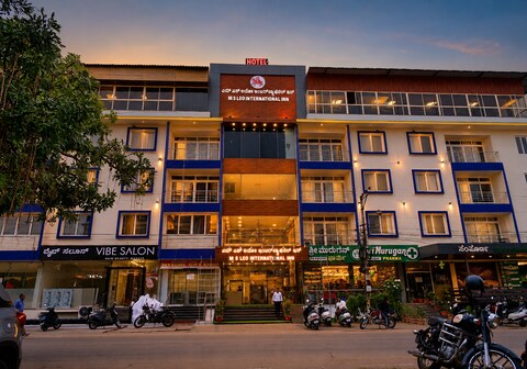 MS Leo International Inn