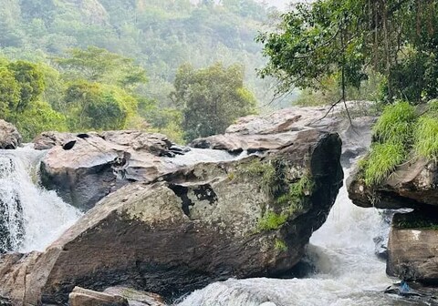 Base Camp Adventures