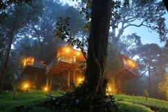 Nature Zone Resort, Munnar Nature Zone Resort, Munnar