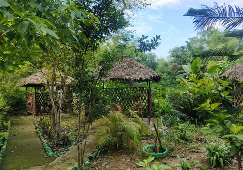 Seuji Dharani Organic Home Stay