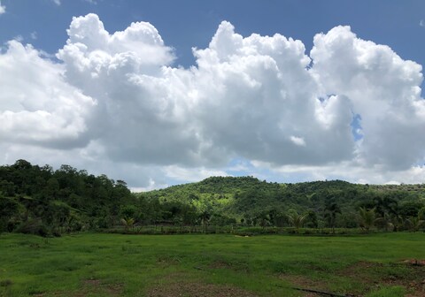 SRK FARMS