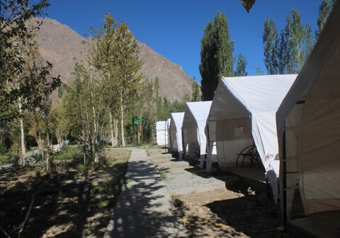 StayApart- Alpine Ibex Camp, Nubra Valley, Leh