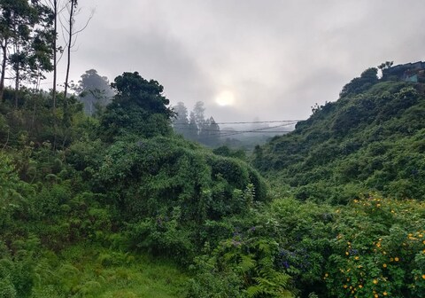 Pavithra Homestay