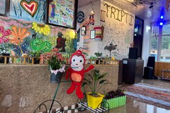 Park Homestay, Bir Billing Park Homestay, Bir Billing