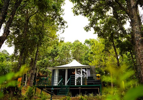 2 Luxury Tents in Majkhali - Chinar and Deodar