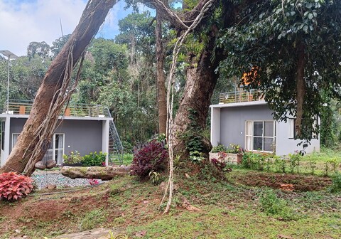 Calmville by BIPS Estate