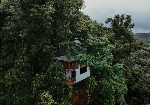 Bestinn Leisure Wild Stories Munnar