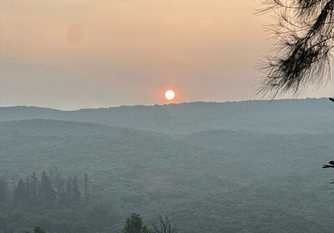 Cloud Green Resort & Spa